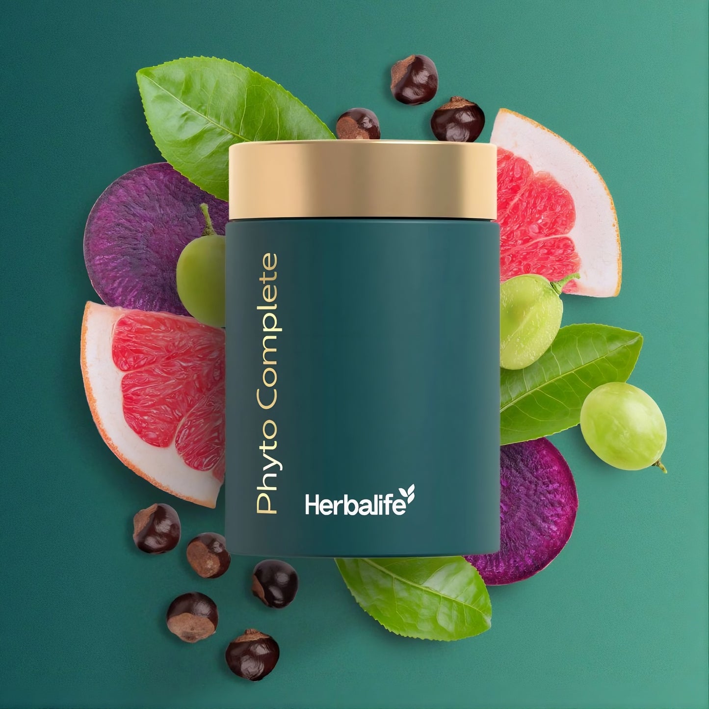Herbalife Phyto Complete Starter Kit